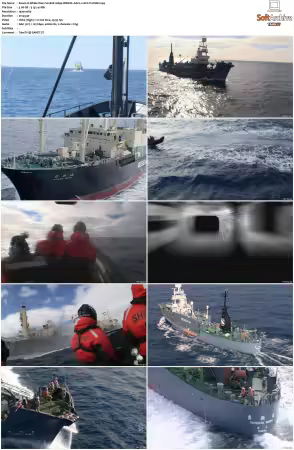 Whale Wars S02 1080p WEB-DL AAC2.0 AVC-TrollHD