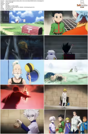 Hunter x Hunter 2011 S01-S06 1080p NF WEB-DL AAC2.0 H264-ZigZag