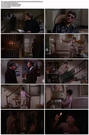 Wait Until Dark 1967 BluRay 1080p DD 1.0 x264-BHDStudio