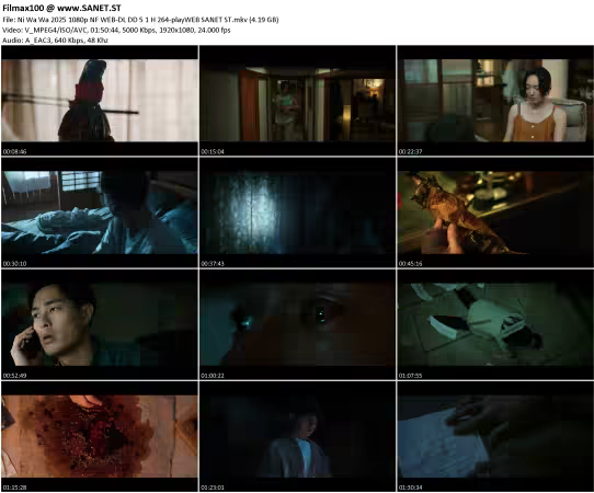 Ni Wa Wa 2025 1080p NF WEB-DL DD 5.1 H 264-playWEB