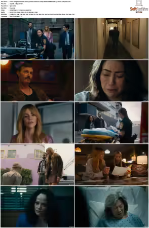 High Potential S01 S02 1080p DSNP WEB-DL DDP5.1 H264-NTb