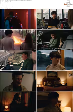 The End of the Fucking World S01 1080p WEBRip 6CH x265 HEVC-PSA