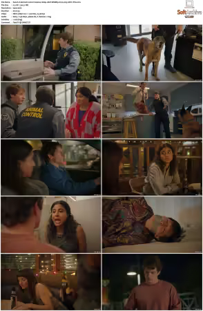 Animal Control S04 1080p 10bit WEBRip 6CH x265 HEVC-PSA