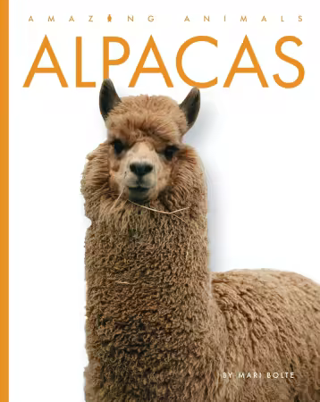 Alpacas (Amazing Animals)