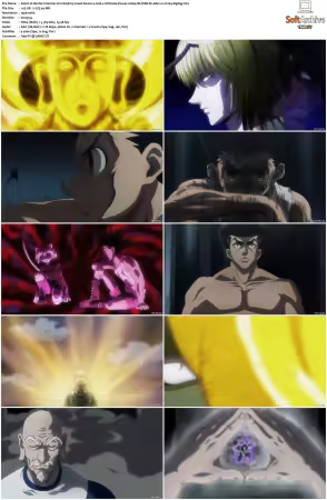 Hunter x Hunter 2011 S01-S06 1080p NF WEB-DL AAC2.0 H264-ZigZag