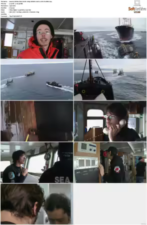 Whale Wars S02 1080p WEB-DL AAC2.0 AVC-TrollHD