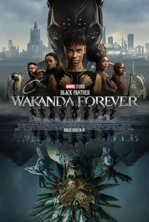 Black Panther Wakanda Forever 2022 1080p DSNP WEB DL DDP5.1 Atmos H264 N1H4L