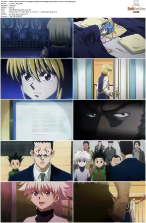 Hunter x Hunter 2011 S01-S06 1080p NF WEB-DL AAC2.0 H264-ZigZag