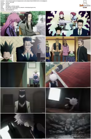 Hunter x Hunter 2011 S01-S06 1080p NF WEB-DL AAC2.0 H264-ZigZag