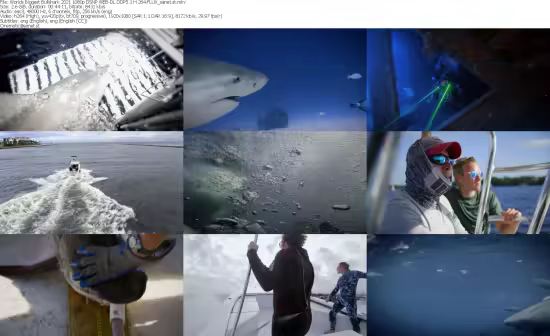 Worlds Biggest Bullshark 2021 1080p DSNP WEB-DL DDP5 1 H 264-FLUX