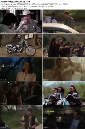 Beyond the Law 1993 DC iNTERNAL BDRip x264-WaLMaRT