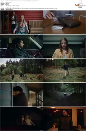 The End of the Fucking World S02 1080p WEBRip 6CH x265 HEVC-PSA