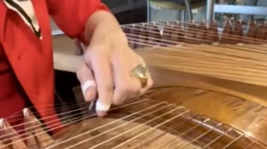 Guzheng Vol 8: Five Elements Index &amp; Thumb for Beginners