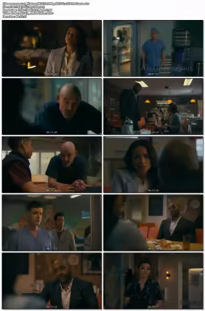 Watson S02E19 1080p HEVC x265-MeGusta