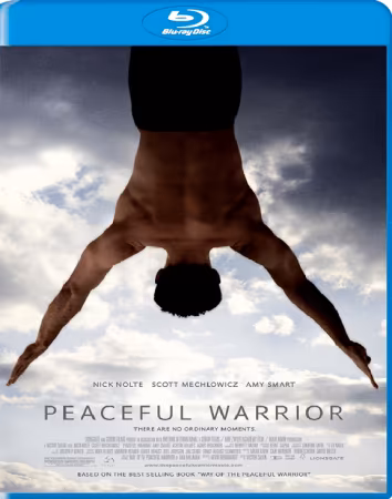 Pearl Harbor 2001 iNTERNAL BDRip x264-TABULARiA