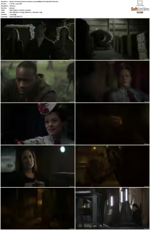 Timeless S01 S02 COMPLETE 720p WEB 2CH x265 HEVC-PSA