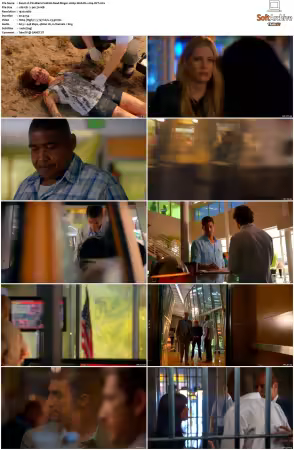 CSI Miami S10 1080p Web-DL x264-OFT
