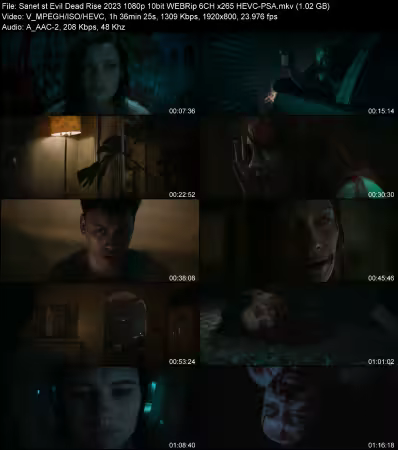Evil Dead Rise 2023 1080p 10bit WEBRip 6CH x265 HEVC-PSA