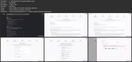 Google Analytics : Maîtriser L'Analyse De Trafic De Son Site