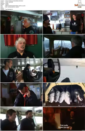 Whale Wars S01 S02 DVDRip XviD-WiDE