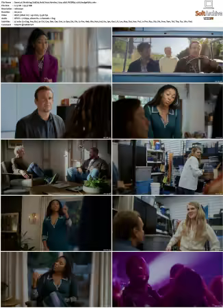 Shrinking S01 S03 720p 10bit WEBRip x265-budgetbits