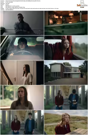 The End of the Fucking World S02 1080p WEBRip 6CH x265 HEVC-PSA