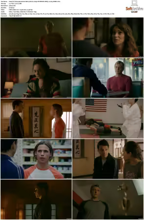 Cobra Kai S02 2160p NF WEB-DL DDP5 1 H 265-XEBEC
