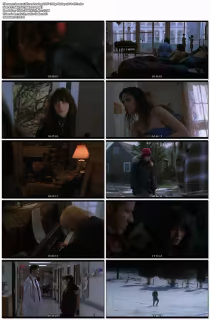 Winter Passing 2006 1080p BluRay x264-OFT