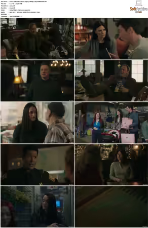 Resident Alien S04 BDRip x264-BORDURE