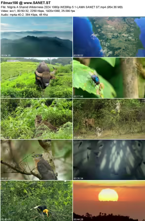 Nilgiris A Shared Wilderness 2024 1080p WEBRip 5.1-LAMA