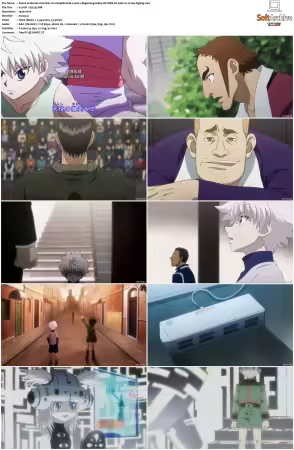 Hunter x Hunter 2011 S01-S06 1080p NF WEB-DL AAC2.0 H264-ZigZag