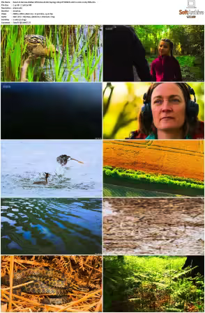 Hamzas Hidden Wild Isles S01 2160p iP WEB-DL AAC2.0 HLG H265-TBN