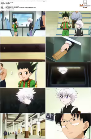 Hunter x Hunter 2011 S01-S06 1080p NF WEB-DL AAC2.0 H264-ZigZag
