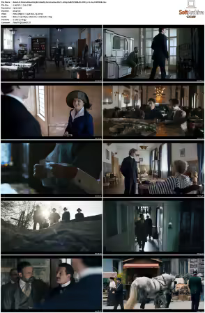 Vienna Blood S01 S04 1080p AMZN WEB-DL DDP 5.1 H264-CHDWEB