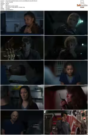 The Good Doctor S01-S07 720p WEBRip 2CH x265 HEVC-PSA