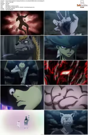 Hunter x Hunter 2011 S01-S06 1080p NF WEB-DL AAC2.0 H264-ZigZag
