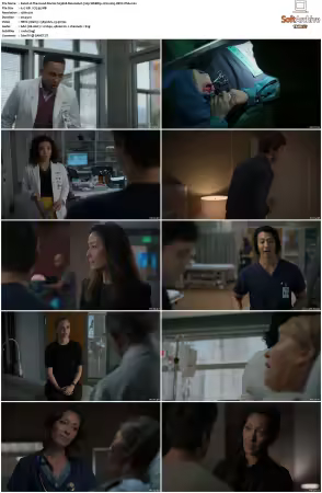 The Good Doctor S01-S07 720p WEBRip 2CH x265 HEVC-PSA