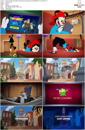 Animaniacs 2020 S01-S03 1080p HULU WEBRip DDP5.1 x265-EDGE2020