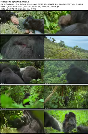 A Gorilla Story Told By David Attenborough 2026 2160p 4K WEB 5.1-LAMA