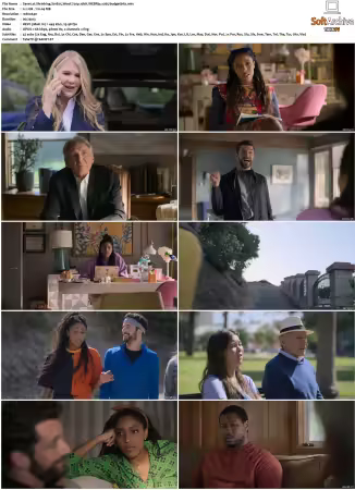 Shrinking S01 S03 720p 10bit WEBRip x265-budgetbits