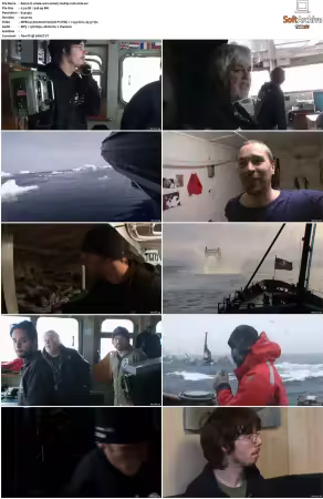 Whale Wars S01 S02 DVDRip XviD-WiDE