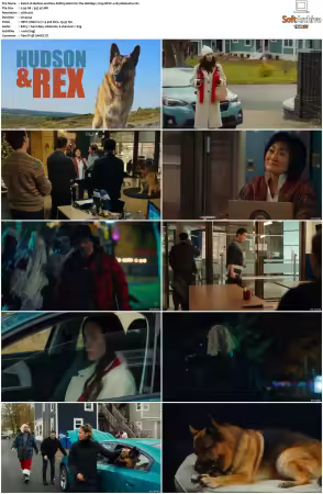Hudson and Rex S08 720p HEVC x265-MeGusta