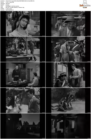 Zorro 1957 S01-S02 1080p DSNP WEB-DL AAC2.0 H264-XiBiU