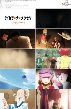 Hunter x Hunter 2011 S01-S06 1080p NF WEB-DL AAC2.0 H264-ZigZag
