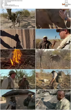 Walking with Elephants S01 540p x264-NGP
