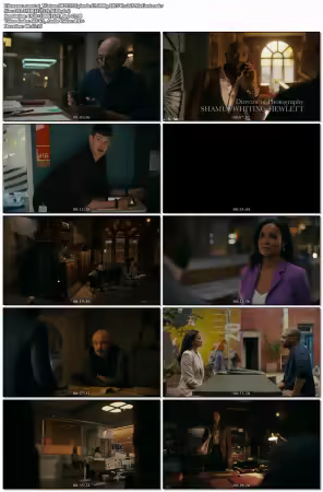 Watson S02E17 Episode 17 1080p HEVC x265-MeGusta
