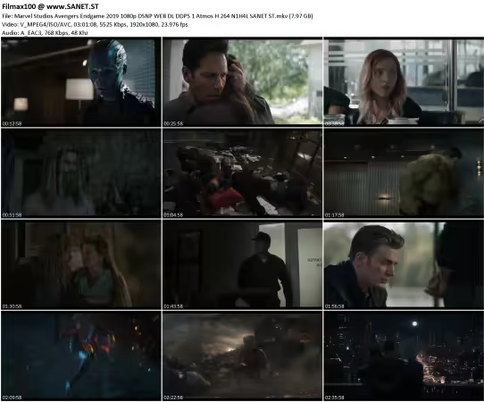 Marvel Studios Avengers Endgame 2019 1080p DSNP WEB DL DDP5.1 Atmos H264 N1H4L