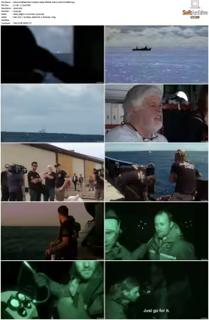Whale Wars S05 1080p WEB-DL AAC2.0 AVC-TrollHD