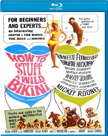 How to Stuff a Wild Bikini 1965 1080p BluRay x264-OFT