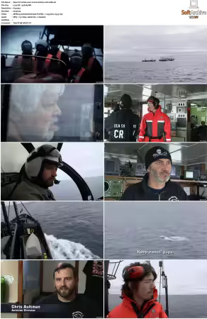 Whale Wars S01 S02 DVDRip XviD-WiDE
